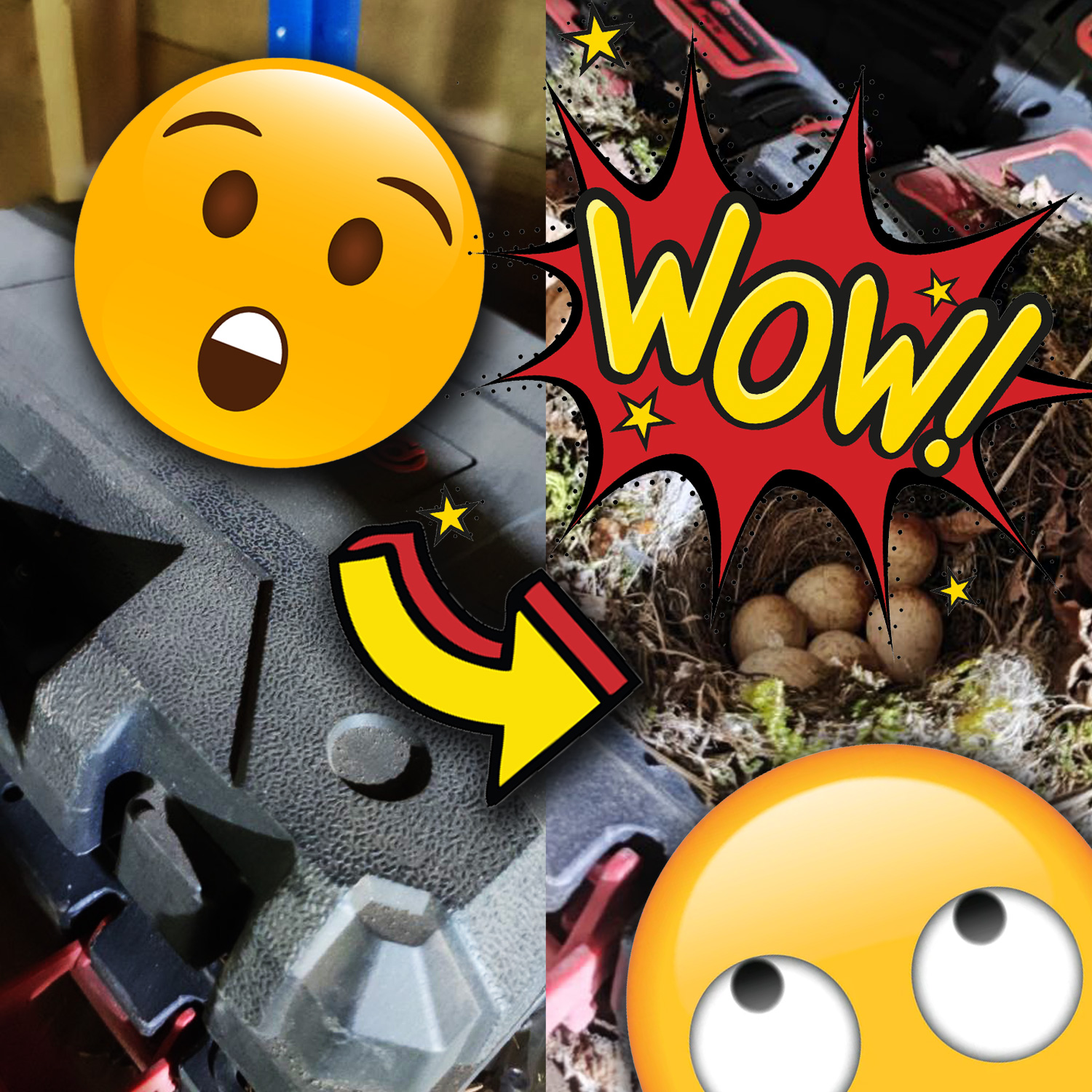 Check Your Equipment for Bird's Nests