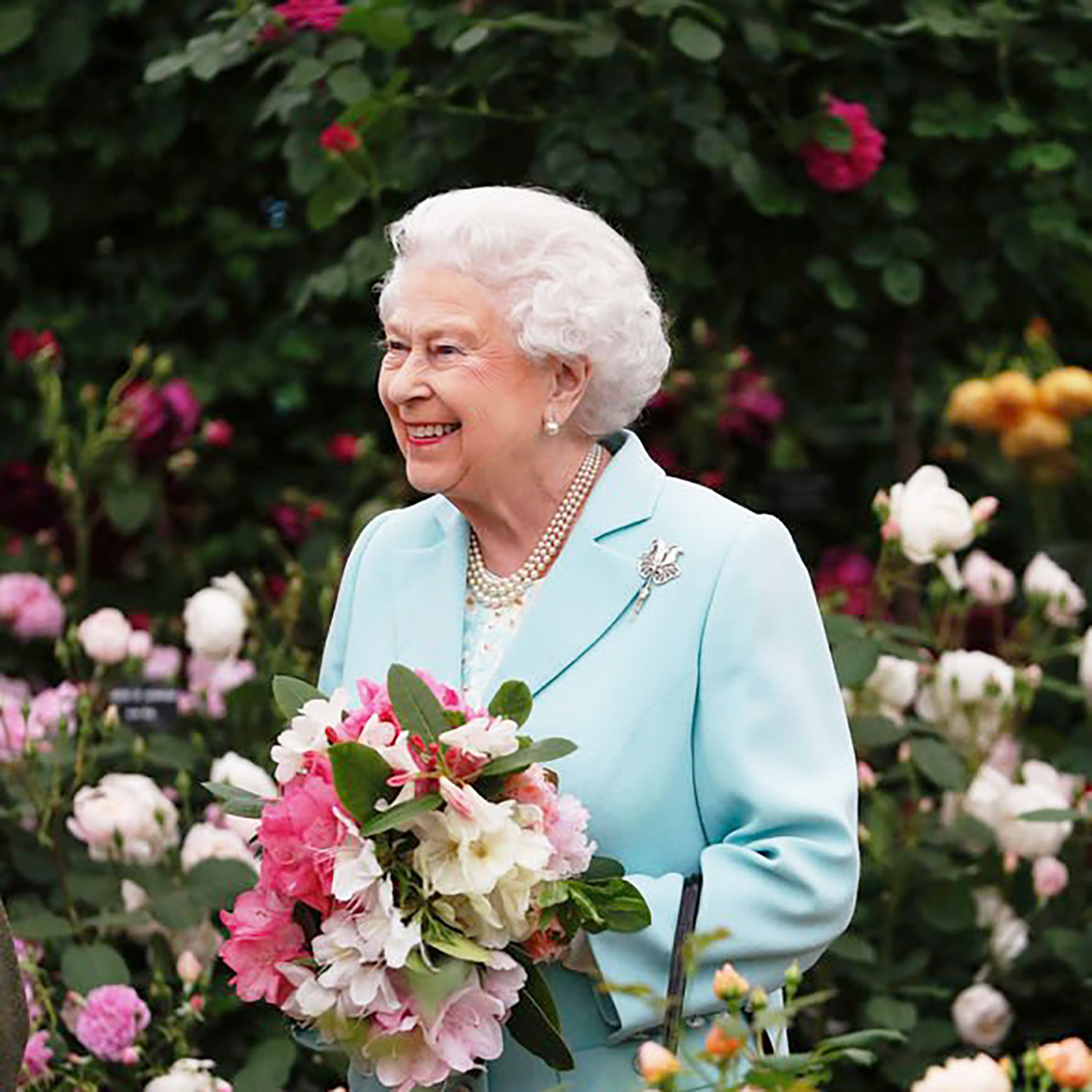 In Memoriam for Her Majesty Queen Elizabeth II
