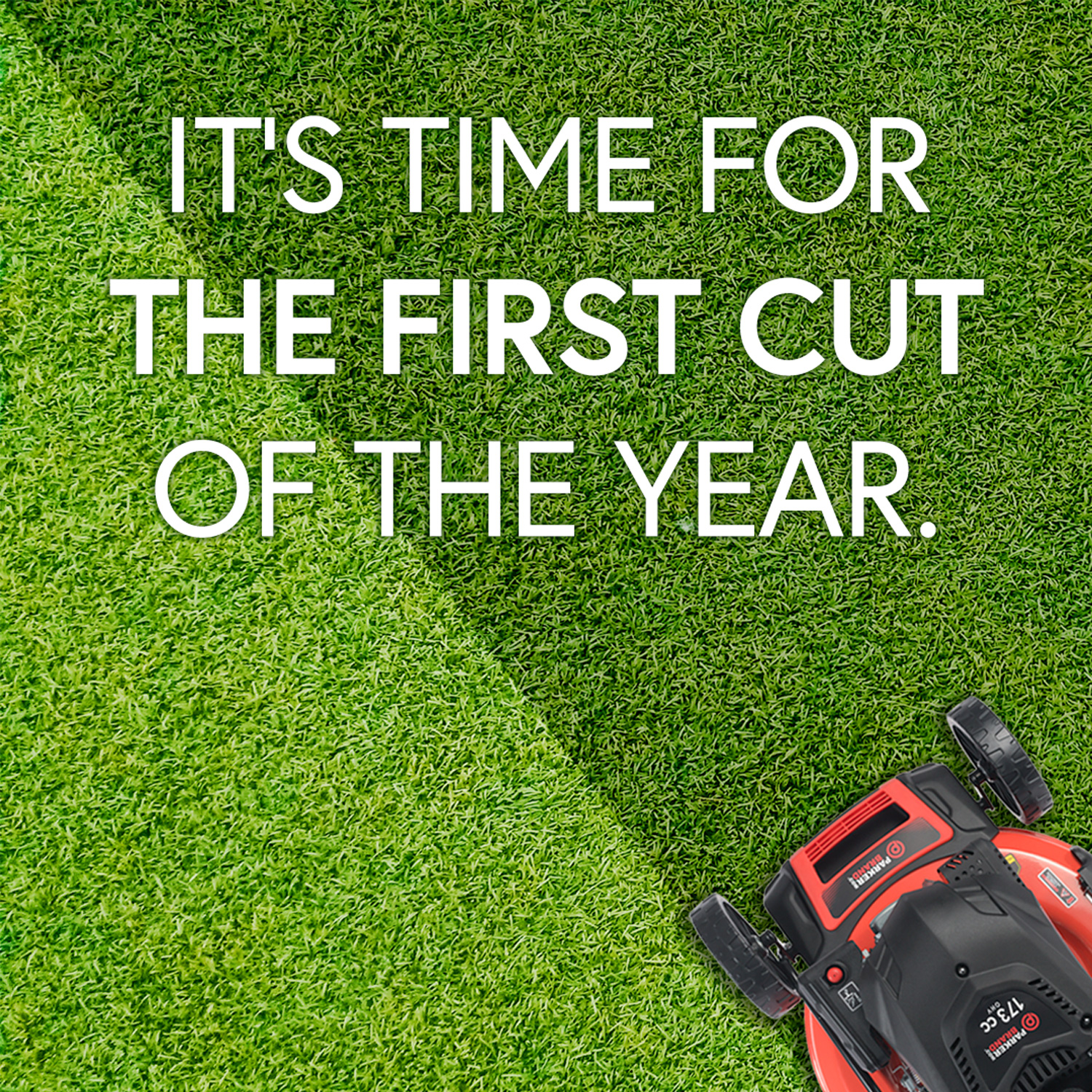 TOP TIPS FOR THE FIRST LAWN CUT OF THE YEAR