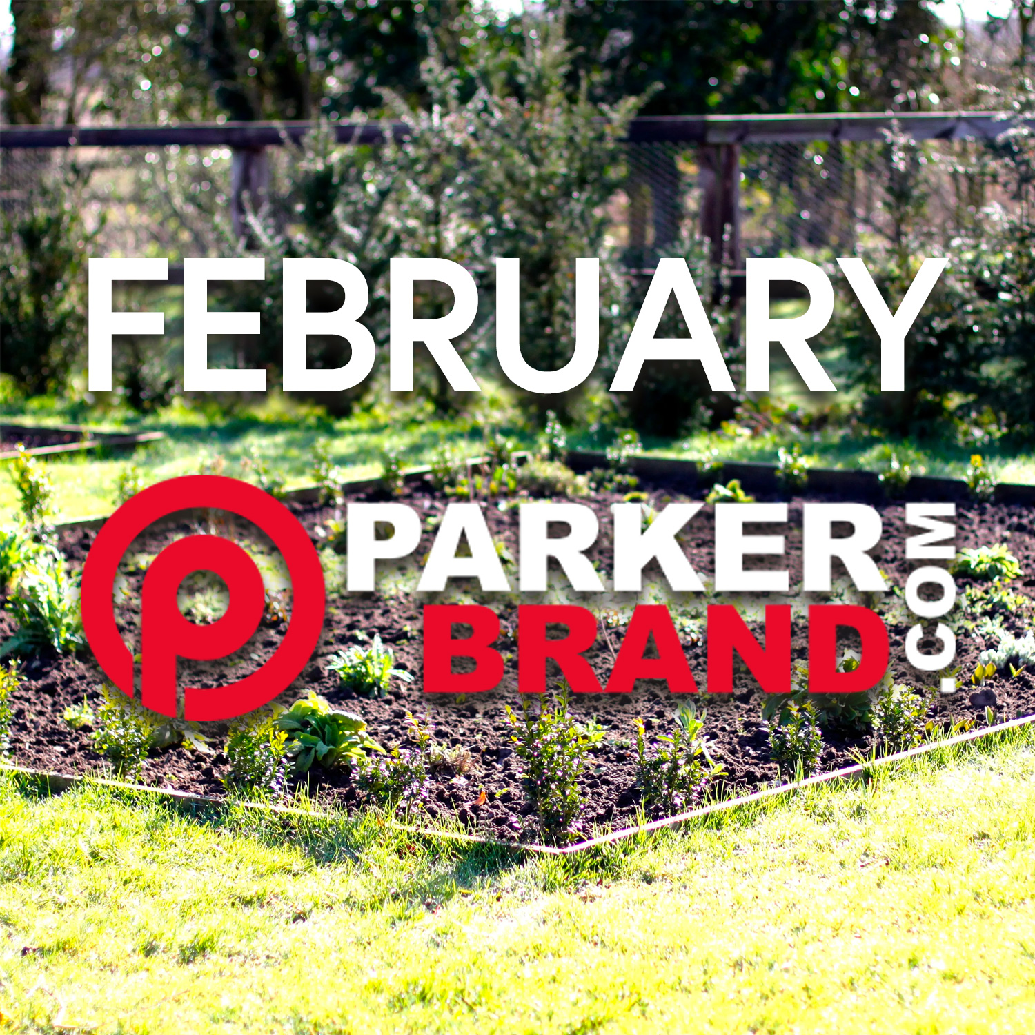 What Do I Need to Do In The Garden in February?