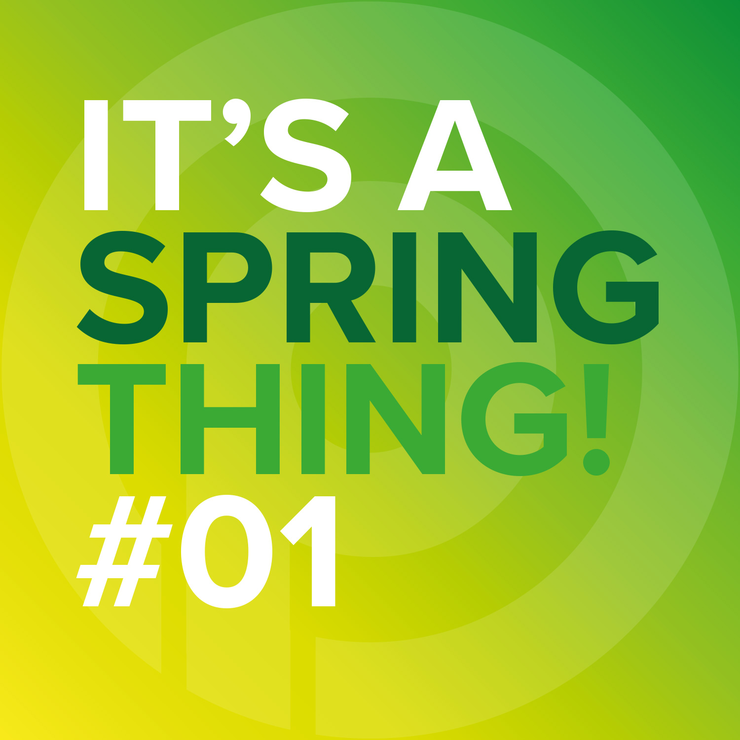 ParkerBrand Hedge Trimmers: It's a Spring Thing #1