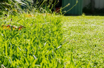 Do ParkerBrand Sell Self Drive Petrol Lawn Mowers?