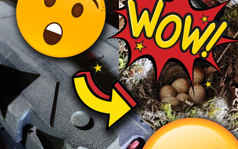 Check Your Equipment for Bird's Nests