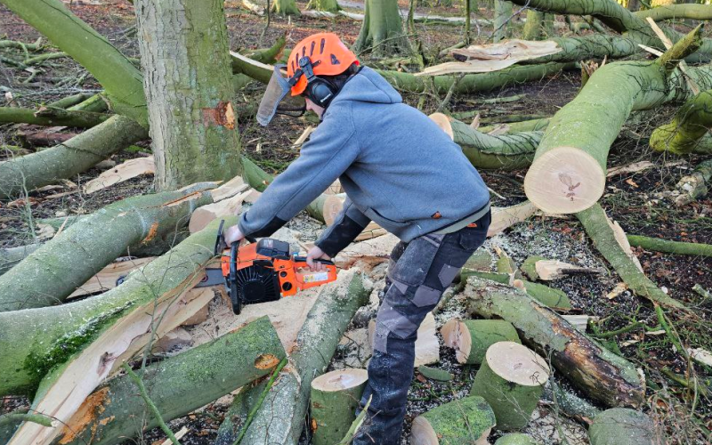 PCS-4500 Petrol Chainsaw: 16" All Rounder Chainsaw