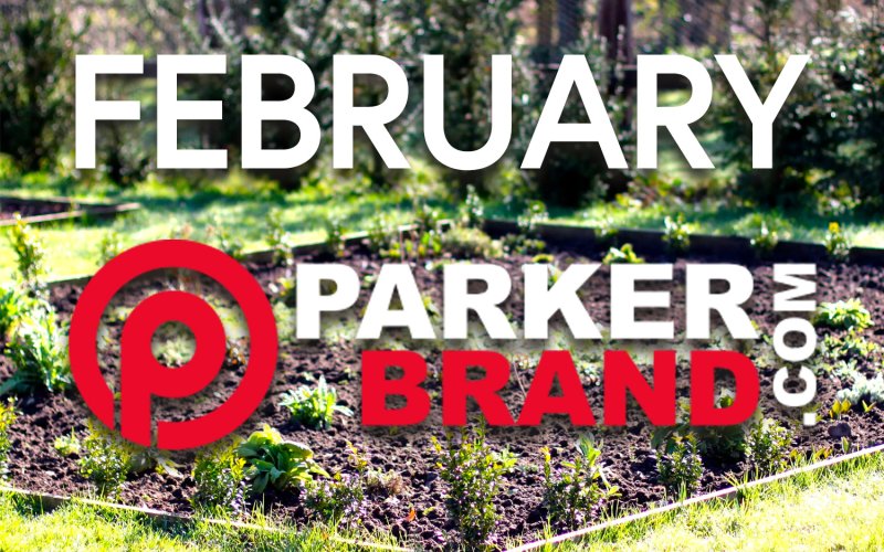 What Do I Need to Do In The Garden in February?