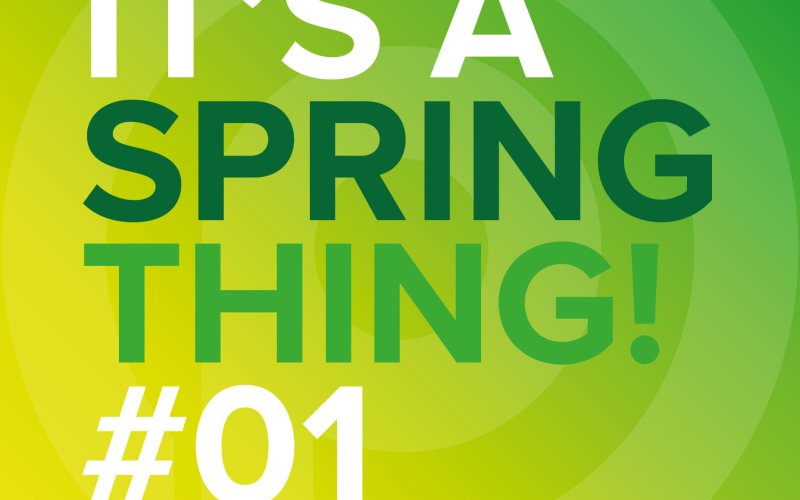 ParkerBrand Hedge Trimmers: It's a Spring Thing #1