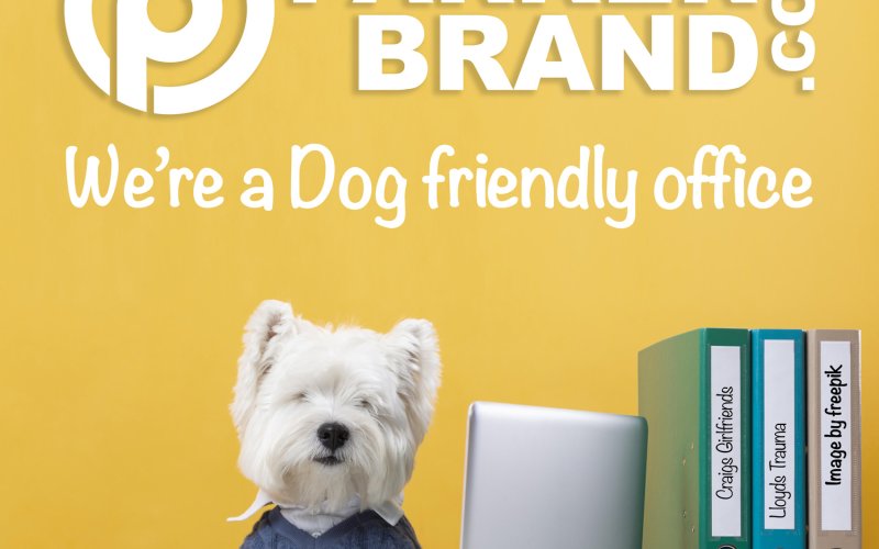 ParkerBrand: Dog Friendly Offices