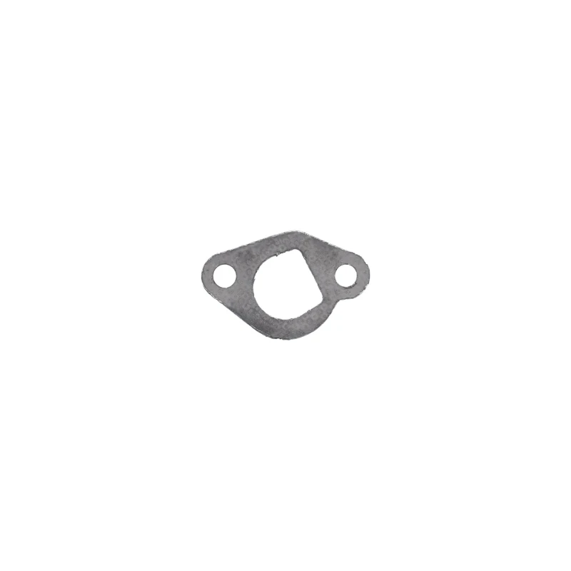 Exhaust Gasket (PPSA-40)