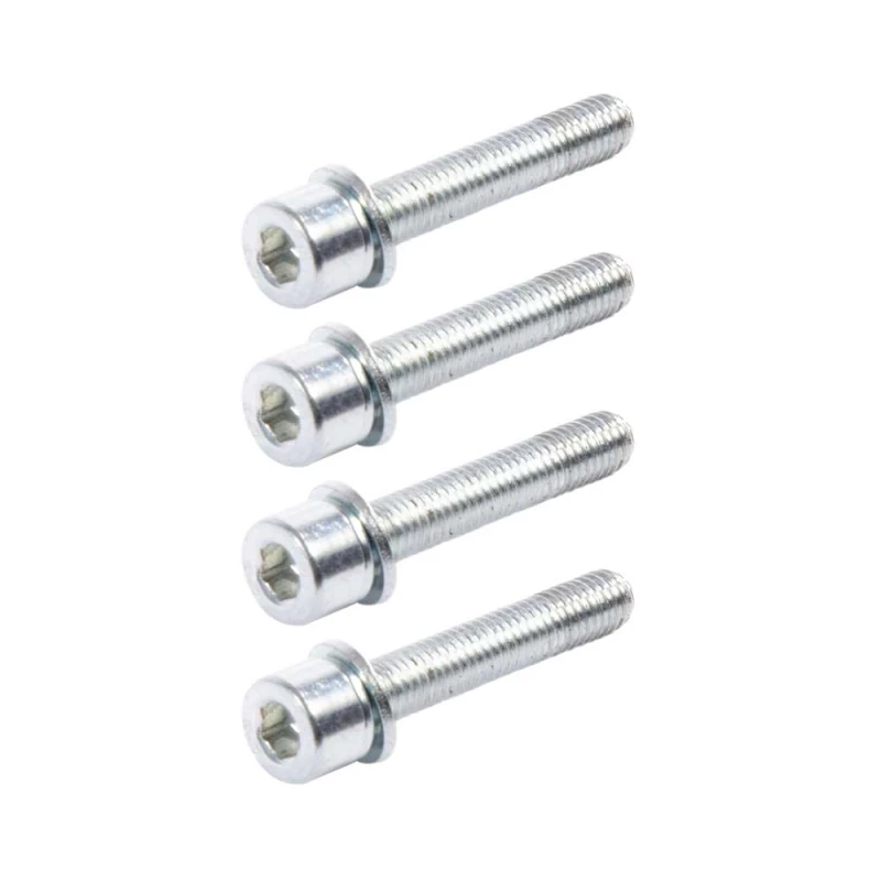 M5 30mm Screw (4 Pack)