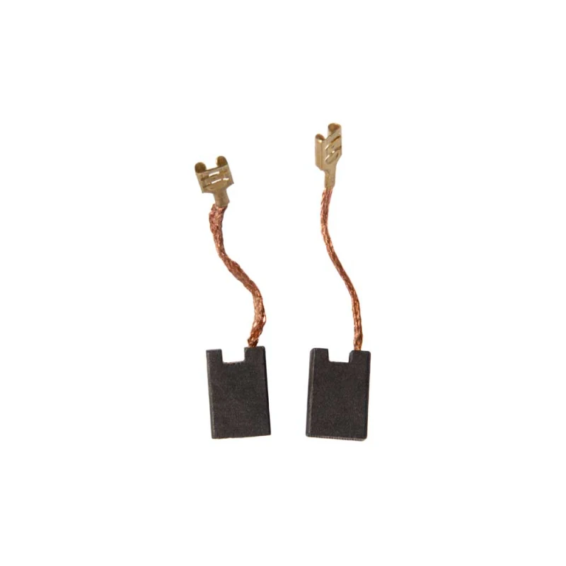 Carbon Brushes (PTS-250)
