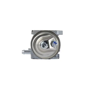 Carburettor (PPLM-17132)