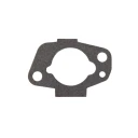 Air Intake Gasket (PPLM-17132)