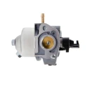 Carburettor (PPLM-21196)