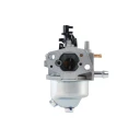 Carburettor (PPLM-21196-170)