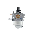 Carburettor (PPLM-21196-170)
